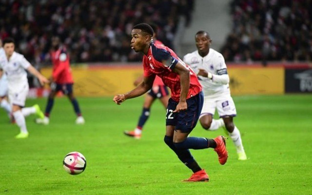 正是在这样 正是在这样