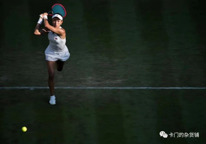 技术局限 技术局限